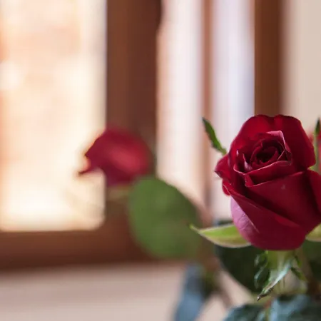 Kastelisuites 아파트호텔