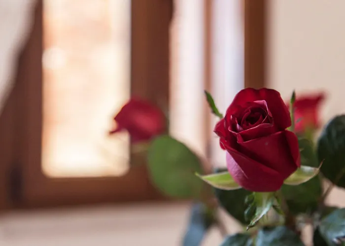 Kastelisuites Aparthotel